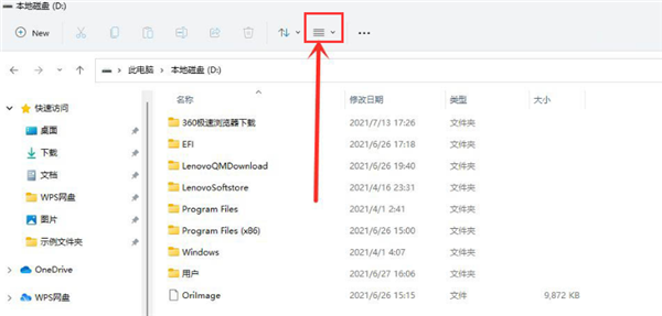 Win11怎么查看隐藏项目?