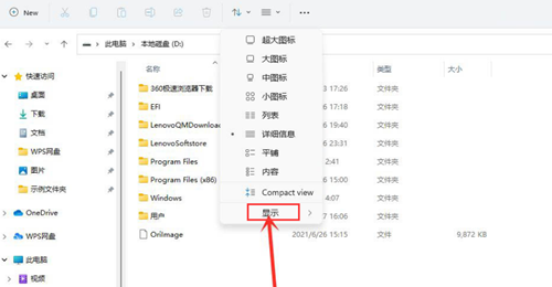 Win11如何查看隐藏文件?