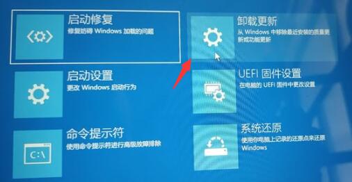 Win11退回Win10按键没反应怎么办?