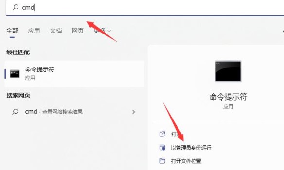 Win11玩游戏出现绿屏怎么办?
