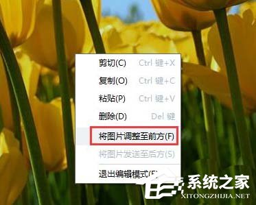 abbyy finereader如何为PDF文件添加图片?abbyy finereader为PDF文件添加图片的方法步骤