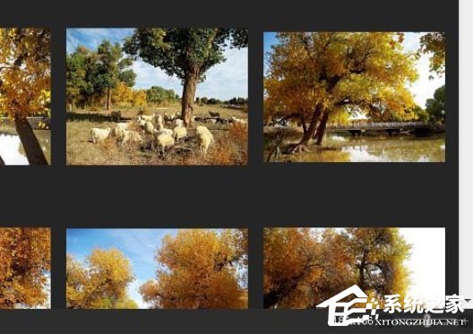 ACDSee如何快速调节缩略图显示大小?ACDSee快速调节缩略图显示大小的方法步骤