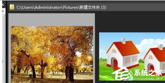 ACDSee如何快速调节缩略图显示大小?ACDSee快速调节缩略图显示大小的方法步骤