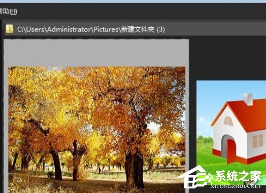 ACDSee如何快速调节缩略图显示大小?ACDSee快速调节缩略图显示大小的方法步骤