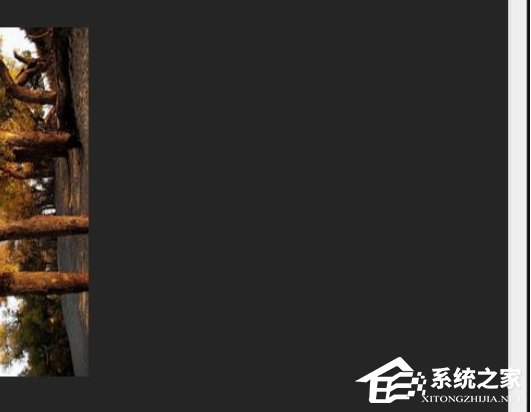 ACDSee如何快速调节缩略图显示大小?ACDSee快速调节缩略图显示大小的方法步骤