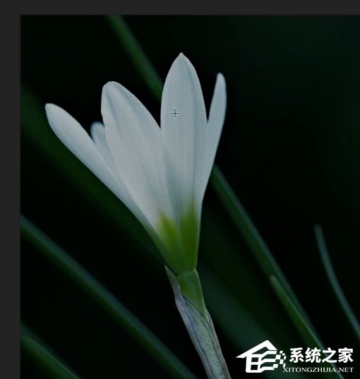 PS如何修复图片曝光度?PS修复图片曝光度的方法教程