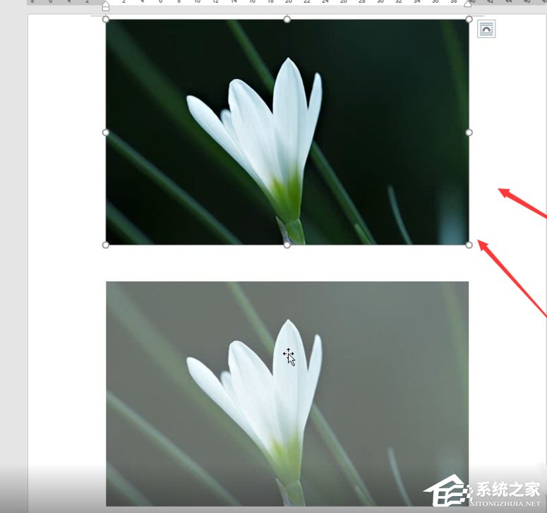 Word如何制作双重曝光特效?制作双重曝光特效的方法