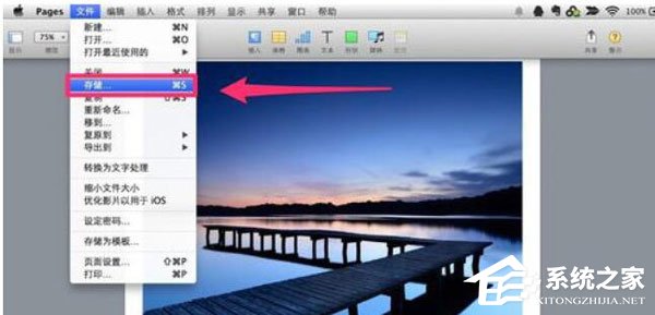 Pages怎么保存文档?