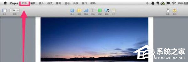 Pages怎么保存文档?