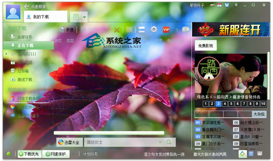 迅雷7皮肤紫色叶子皮肤