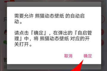 如何设置熊猫动态壁纸权限 熊猫动态壁纸设置权限的教程
