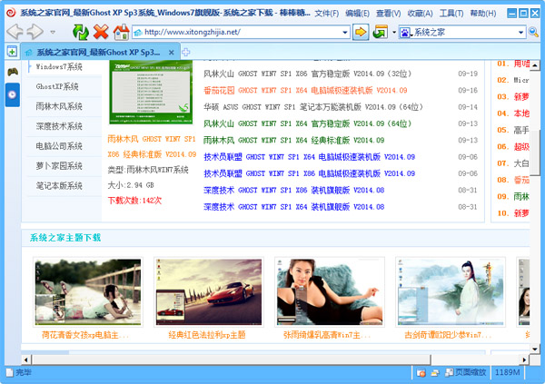 棒棒糖浏览器 V1.0 绿色版