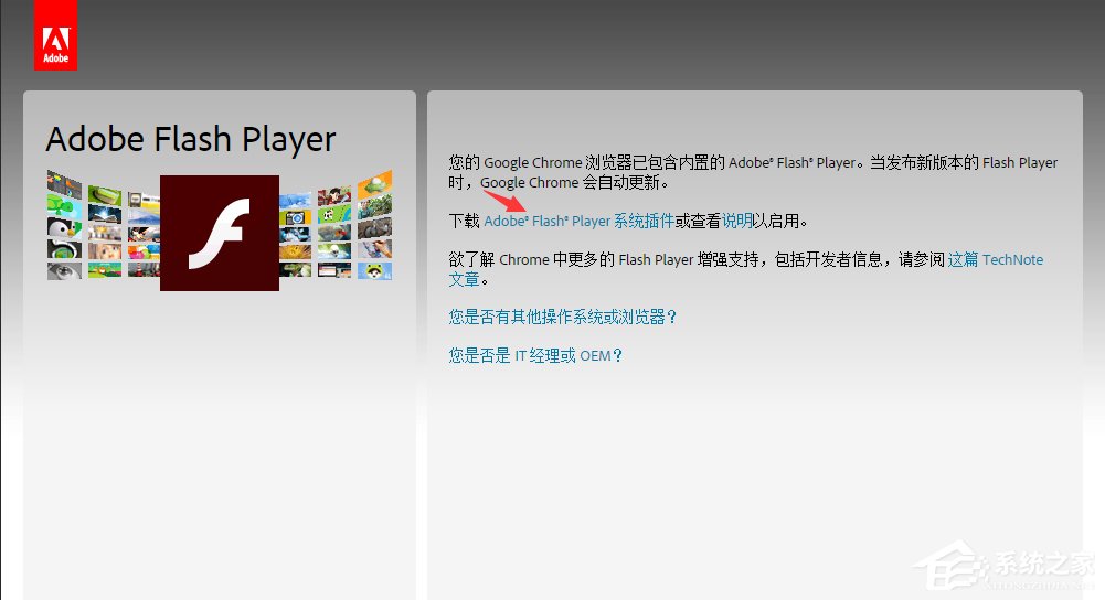 flashplayer播放器怎么升级?Adobe flash player的更新方法