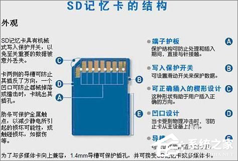 TF卡和SD卡的区别在哪?一分钟搞懂!