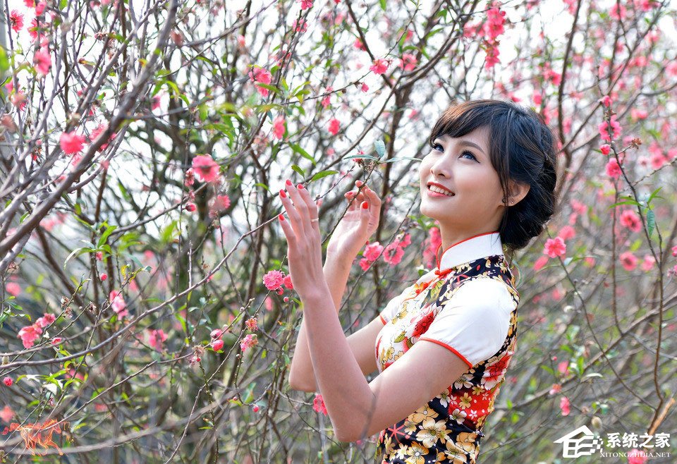 PS历史记录画笔工具怎么用?Photoshop历史记录画笔工具用法