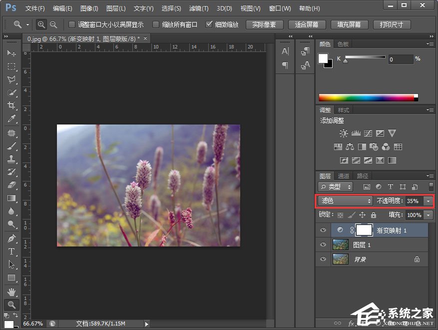 PS调色教程:调出小清新植物图片
