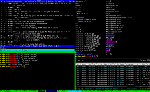 Linux系统中如何配置Tmux?