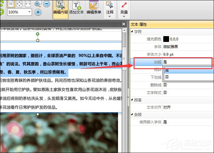 PDF文件怎么加粗字体?