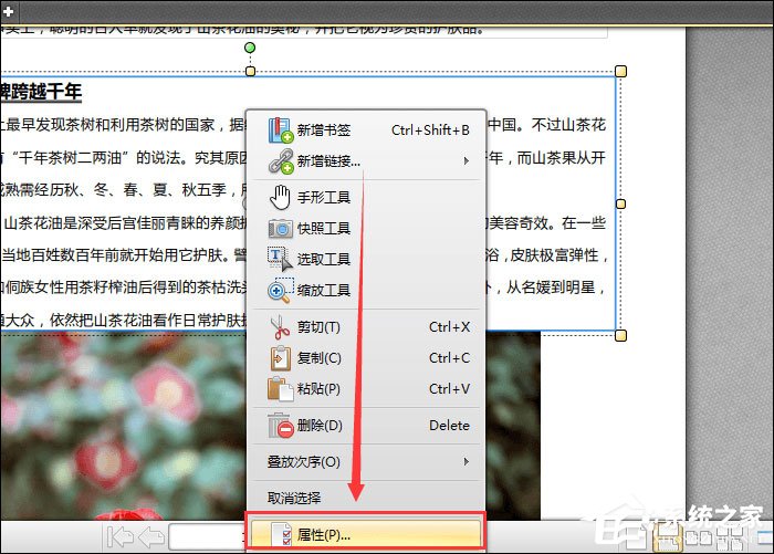 PDF文件怎么加粗字体?