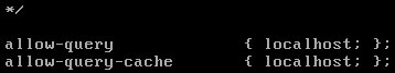 Linux(CentOS)如何安装DNS服务器?