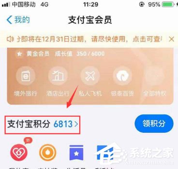 支付宝积分在哪里看?