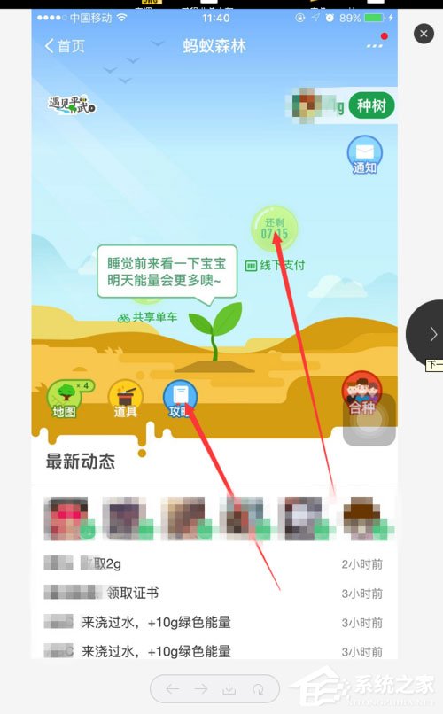 支付宝蚂蚁森林能量怎么获取?