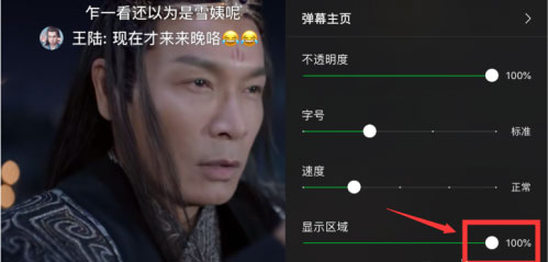 爱奇艺怎么设置弹幕显示区域?