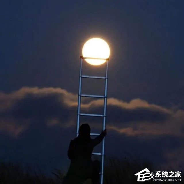 2020抖音最火网名分享!