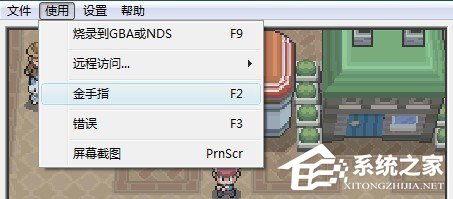 NDS模拟器金手指怎么用?