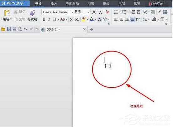 WPS怎么打分数?WPS分数怎么输入?