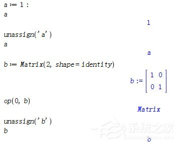 Maple如何管理变量?Maple管理变量教程