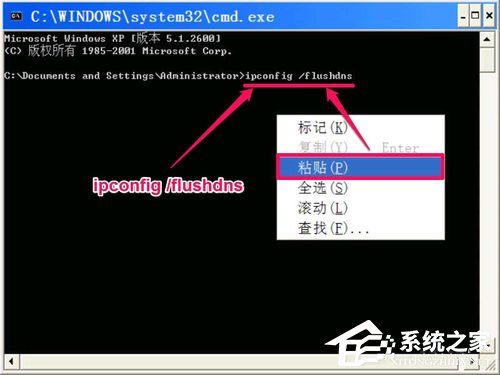WinXP无法清除DNS缓存怎么解决?