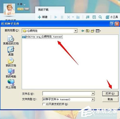 BT种子怎么用?使用BT种子的方法