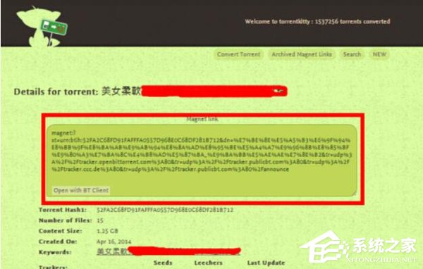 TorrentKitty打不开怎么办?