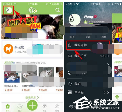 握爪宠物app如何添加宠物?握爪宠物app添加宠物的方法