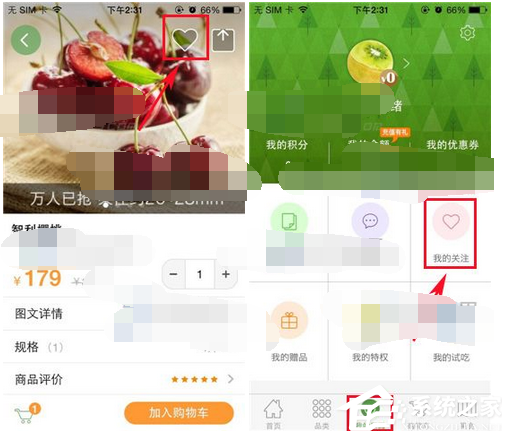 天天果园APP如何添加关注?天天果园APP添加关注的方法