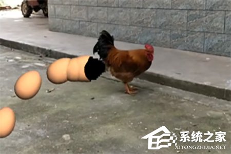 视+AR App怎么拍摄下蛋特效?视+AR App下蛋特效拍摄方法