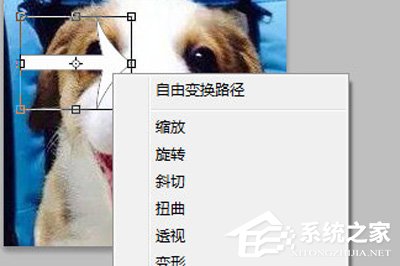 PhotoShop怎么旋转图片?PhotoShop旋转图片的方法