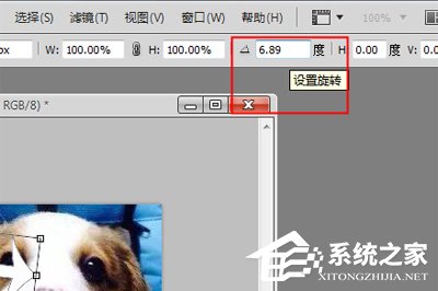 PhotoShop怎么旋转图片?PhotoShop旋转图片的方法