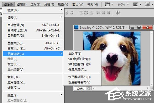 PhotoShop怎么旋转图片?PhotoShop旋转图片的方法