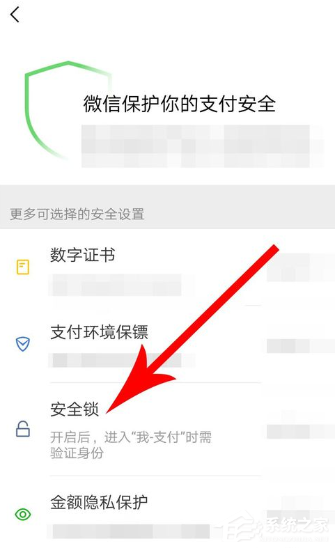 微信中怎么设置支付安全锁?微信中设置支付安全锁的方法