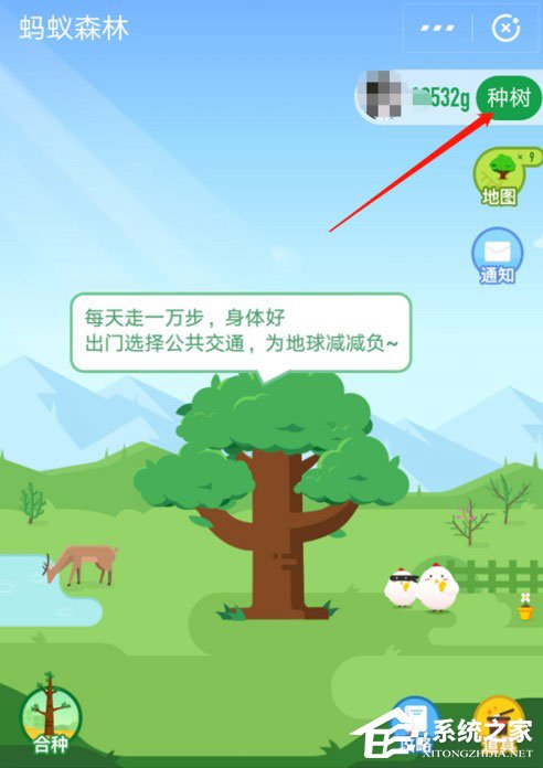 支付宝中怎么获取蚂蚁森林首页小鹿?支付宝中获取蚂蚁森林首页小鹿的方法