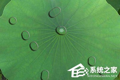 PS水滴效果怎么做?PS做水滴效果的方法