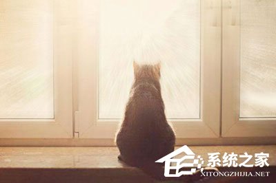 PS添加光线效果怎么做?PS添加光线效果的方法