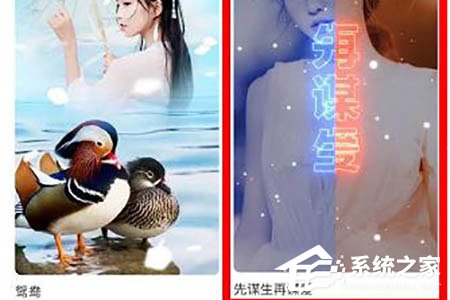 抖音先谋生再谋爱卡点怎么拍摄?借助逗拍轻松搞定