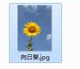 如何用画图工具制作圆形的头像 用画图工具制作圆形的头像的教程