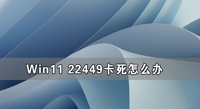 Win11 22449卡死怎么办