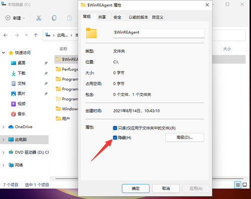 Win11如何查看所隐藏的文件?