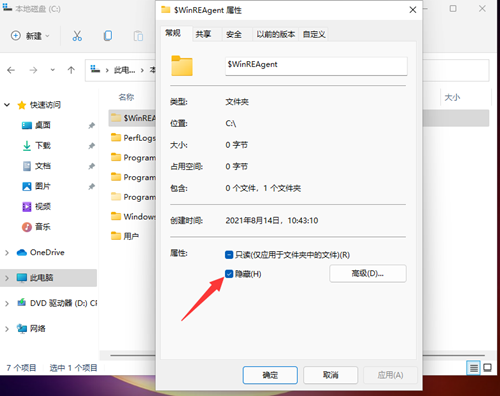 Win11如何查看所隐藏的文件？