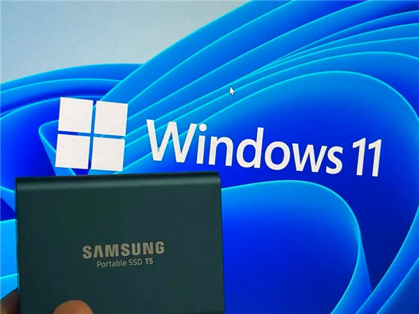 升级Windows11预览版出现错误